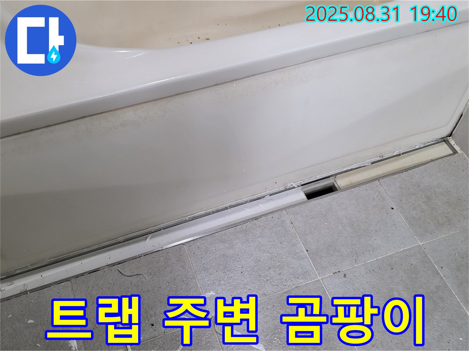 분당 정자동 욕조 누수 - 배수 트랩 주변 물때와 곰팡이