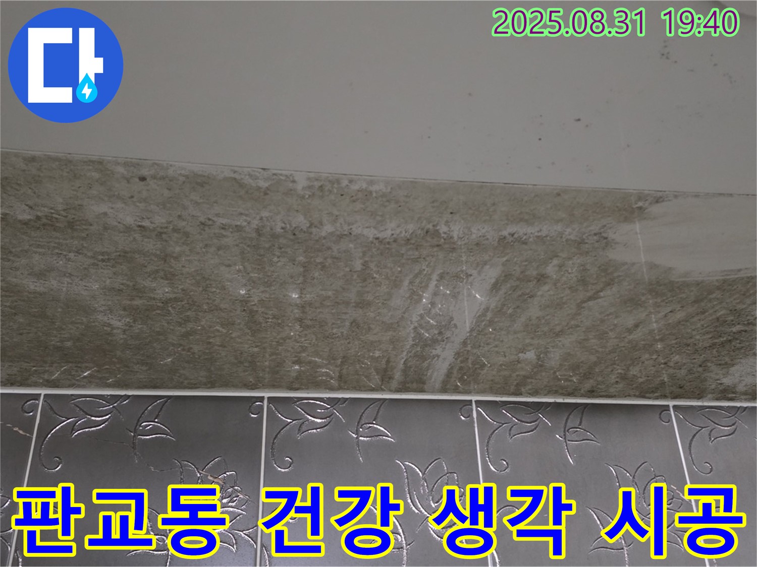 분당 판교동 욕실 곰팡이 - 건강까지 생각하는 꼼꼼한 시공