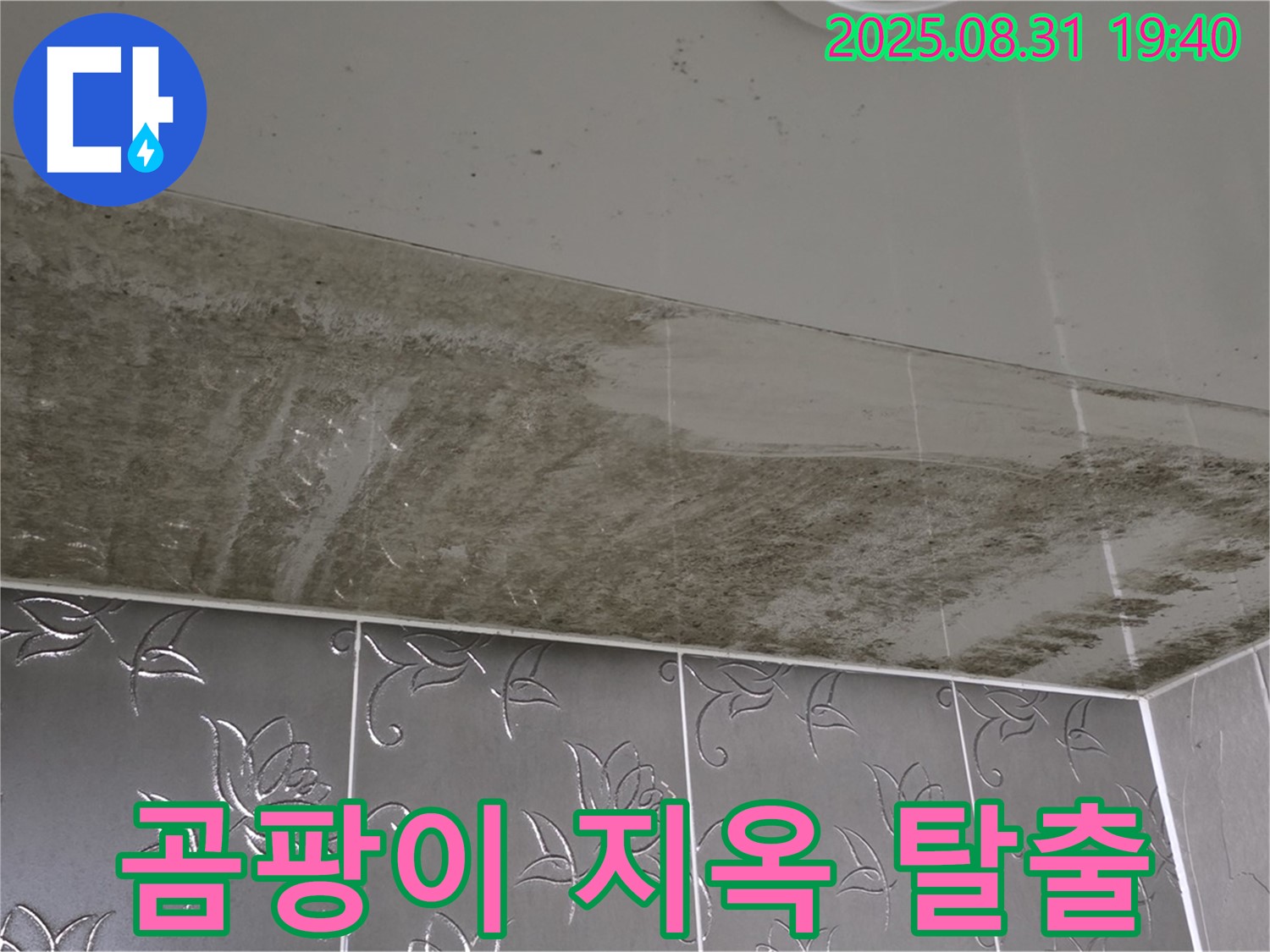 분당구 백현동 - 곰팡이 지옥 탈출 - 쾌적한 욕실