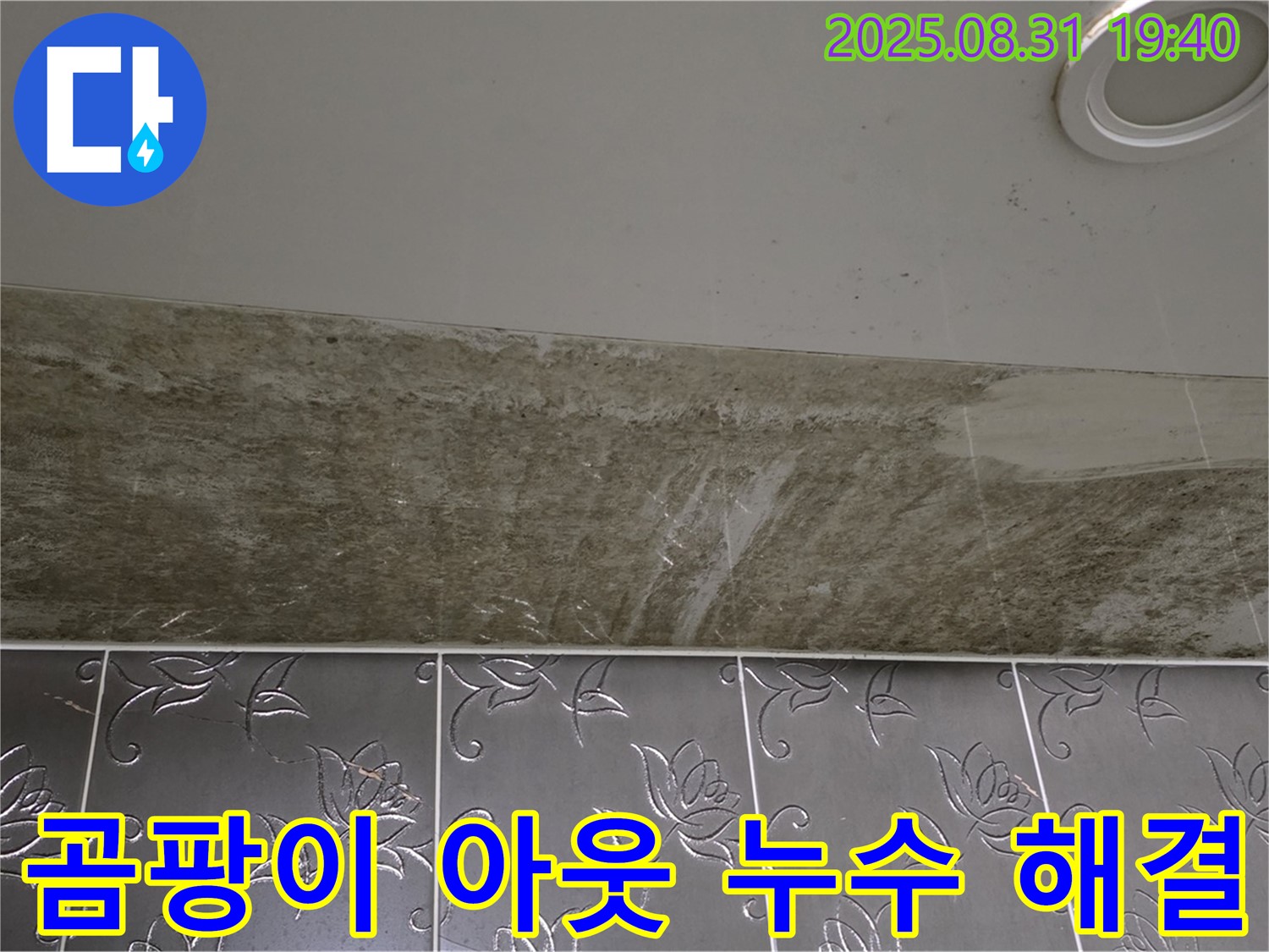 분당구 백현동 욕실 천장 누수 - 곰팡이 아웃! 쾌적한 욕실 천장, 완벽하게 해결!