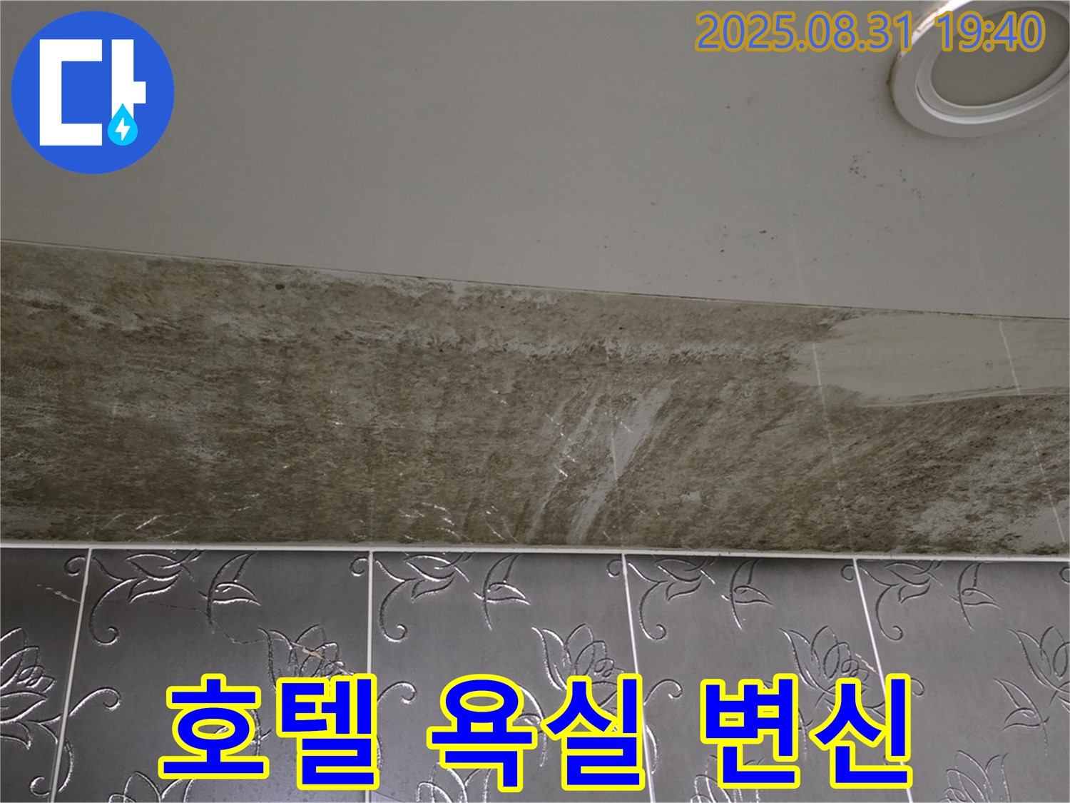 분당구 백현동 욕실 천장 누수 - 곰팡이 완벽 제거하고 뽀송뽀송 호텔 욕실로 변신!