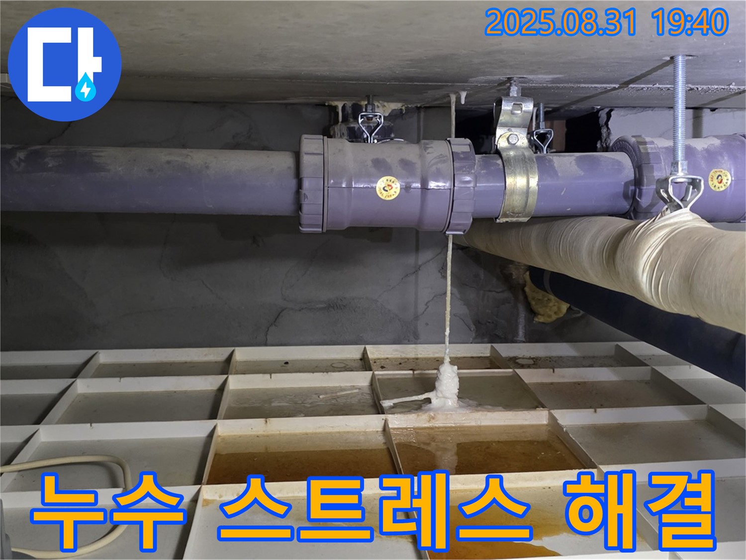 분당구 산운동 누수 - 누수 스트레스, 이제 안녕!