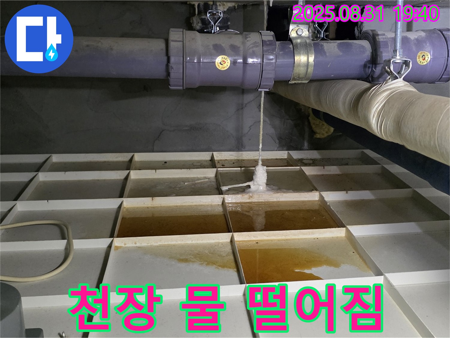 분당구 산운동 누수 - 물탱크실 천장에서 물이 뚝뚝 - 윗층 누수 가능성 확인.