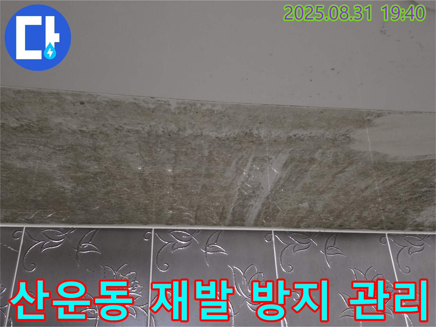 분당구 산운동 욕실 곰팡이 - 곰팡이 재발 방지 완벽한 사후 관리