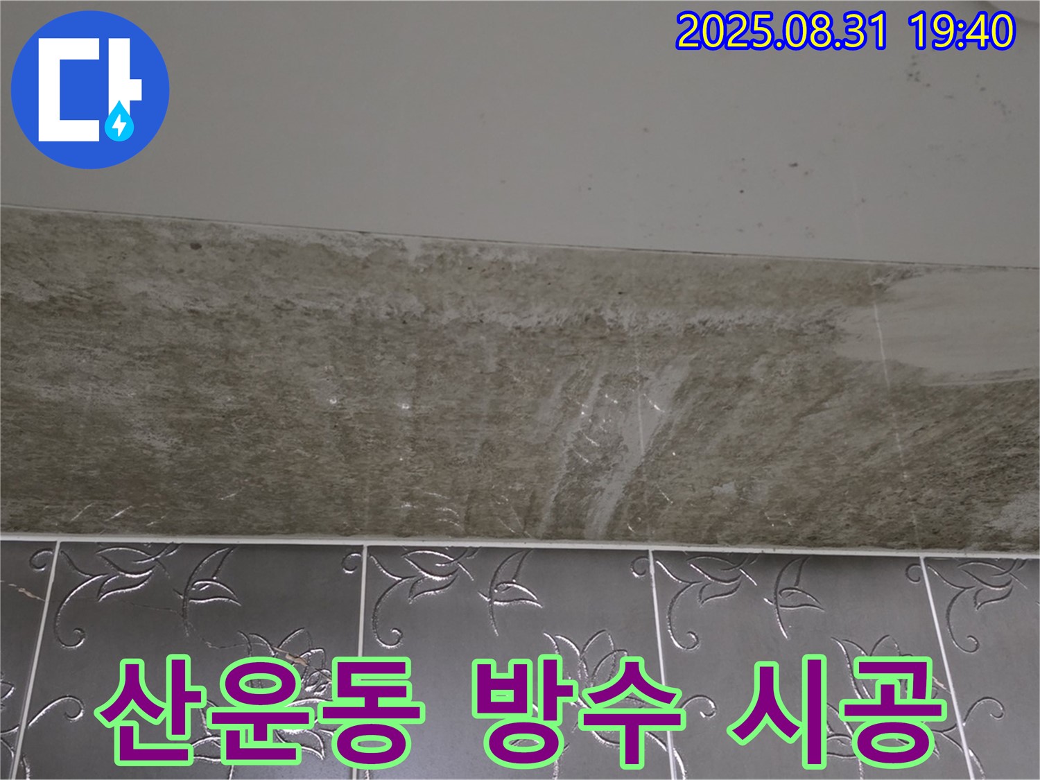 분당구 산운동 욕실 곰팡이 - 곰팡이 제거 완벽 방수 시공 재발 방지