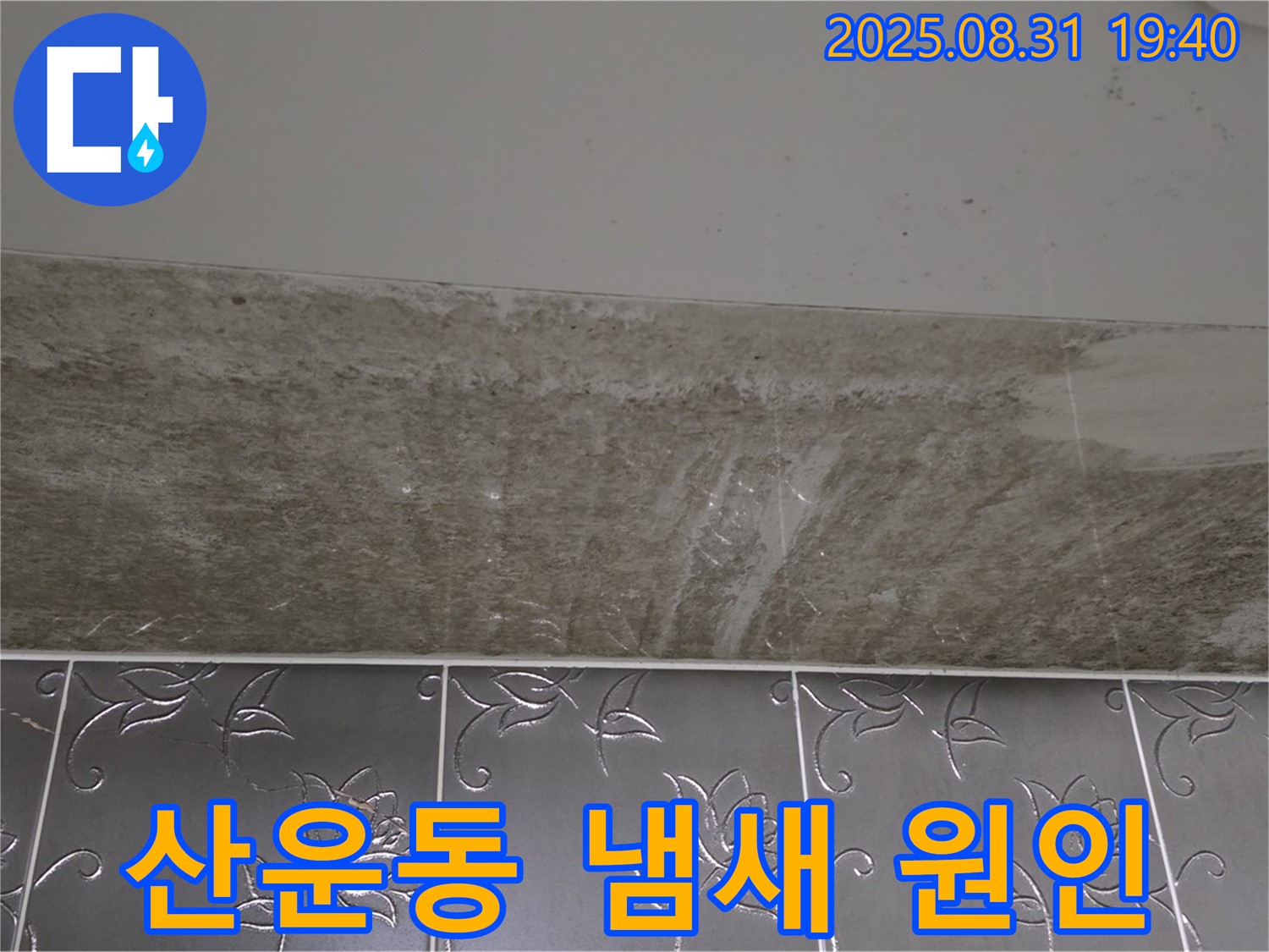 분당구 산운동 욕실 곰팡이 - 곰팡이 제거 후 냄새 원인 해결