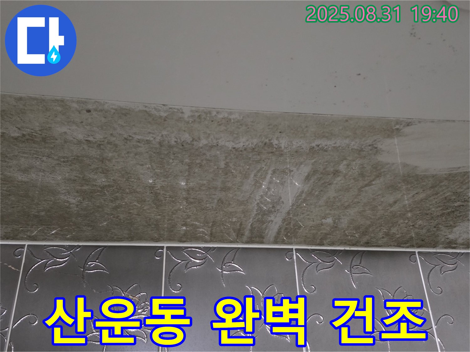 분당구 산운동 욕실 곰팡이 - 곰팡이 제거 후 완벽 건조 습기 제거