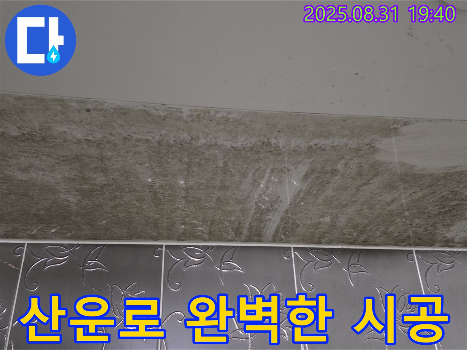 분당구 산운로 121 욕실 곰팡이 - 곰팡이 문제 해결 완벽한 시공 약속