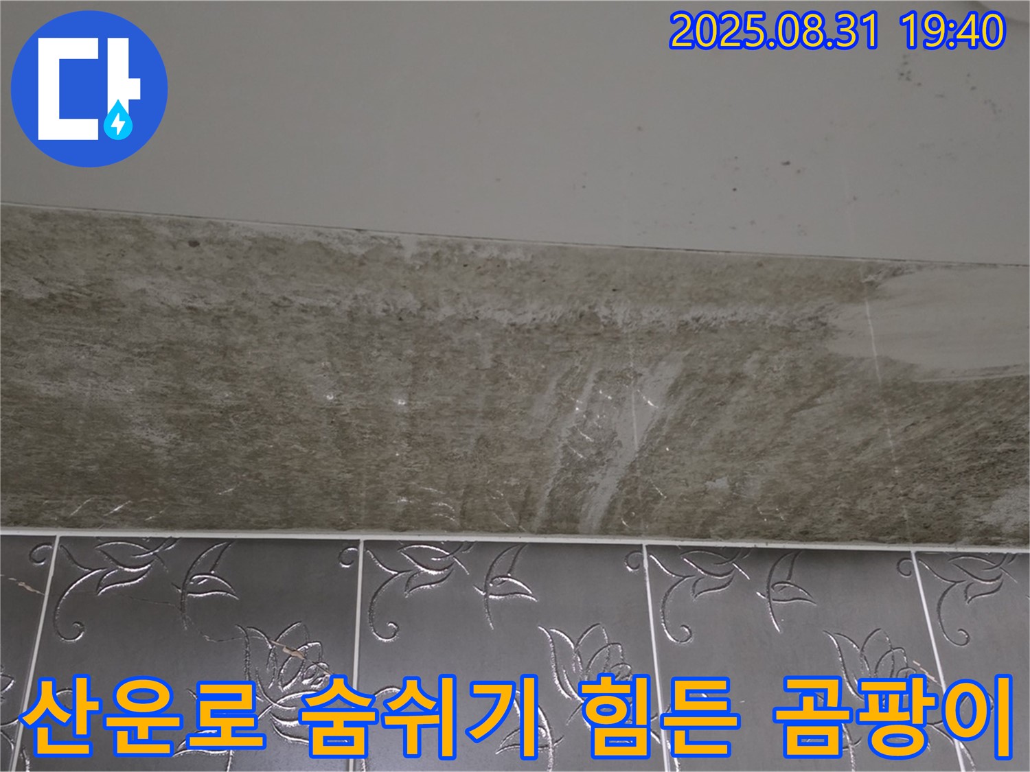 분당구 산운로 121 욕실 곰팡이 - 숨쉬기 힘든 곰팡이 문제 해결
