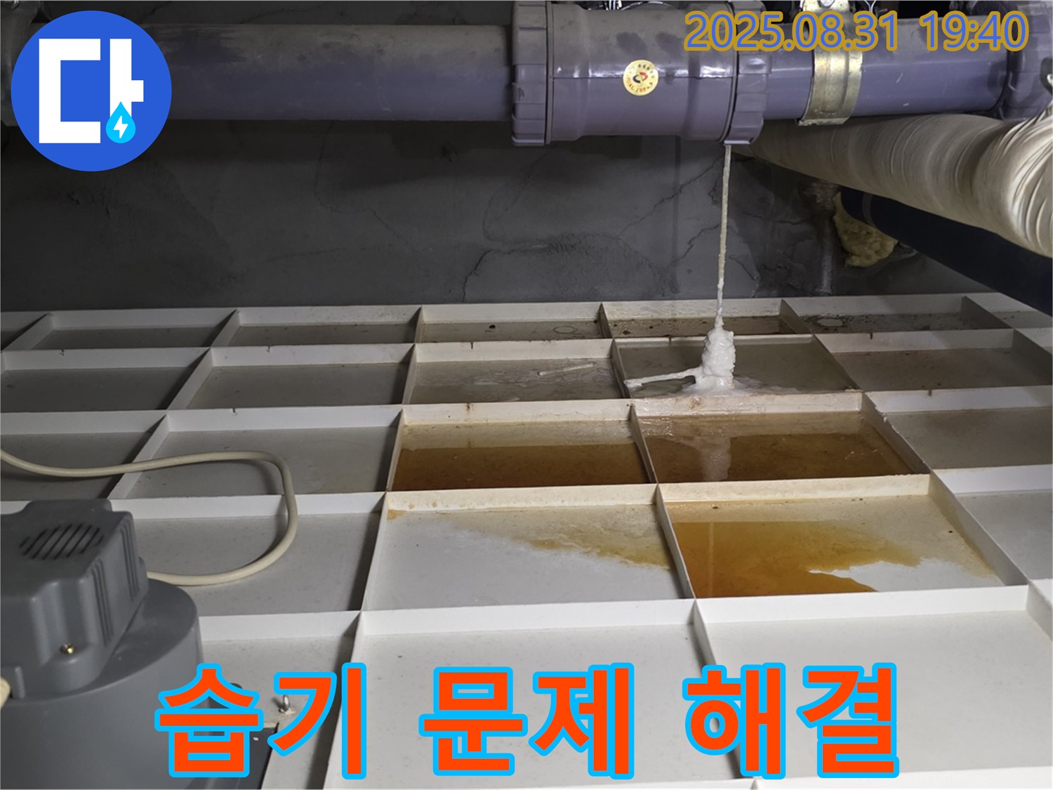 분당구 산운로 건물 누수 - 습기 문제, 누수 원인 꼼꼼 파악