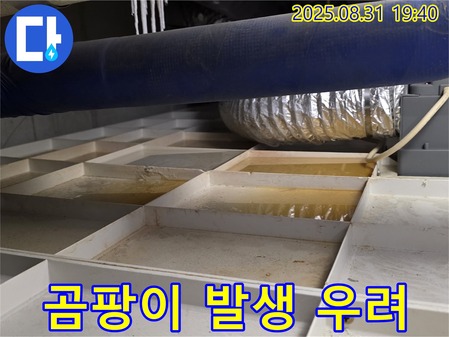 분당구 산운로 건물 지하 누수 - 습한 환경으로 곰팡이 발생 우려