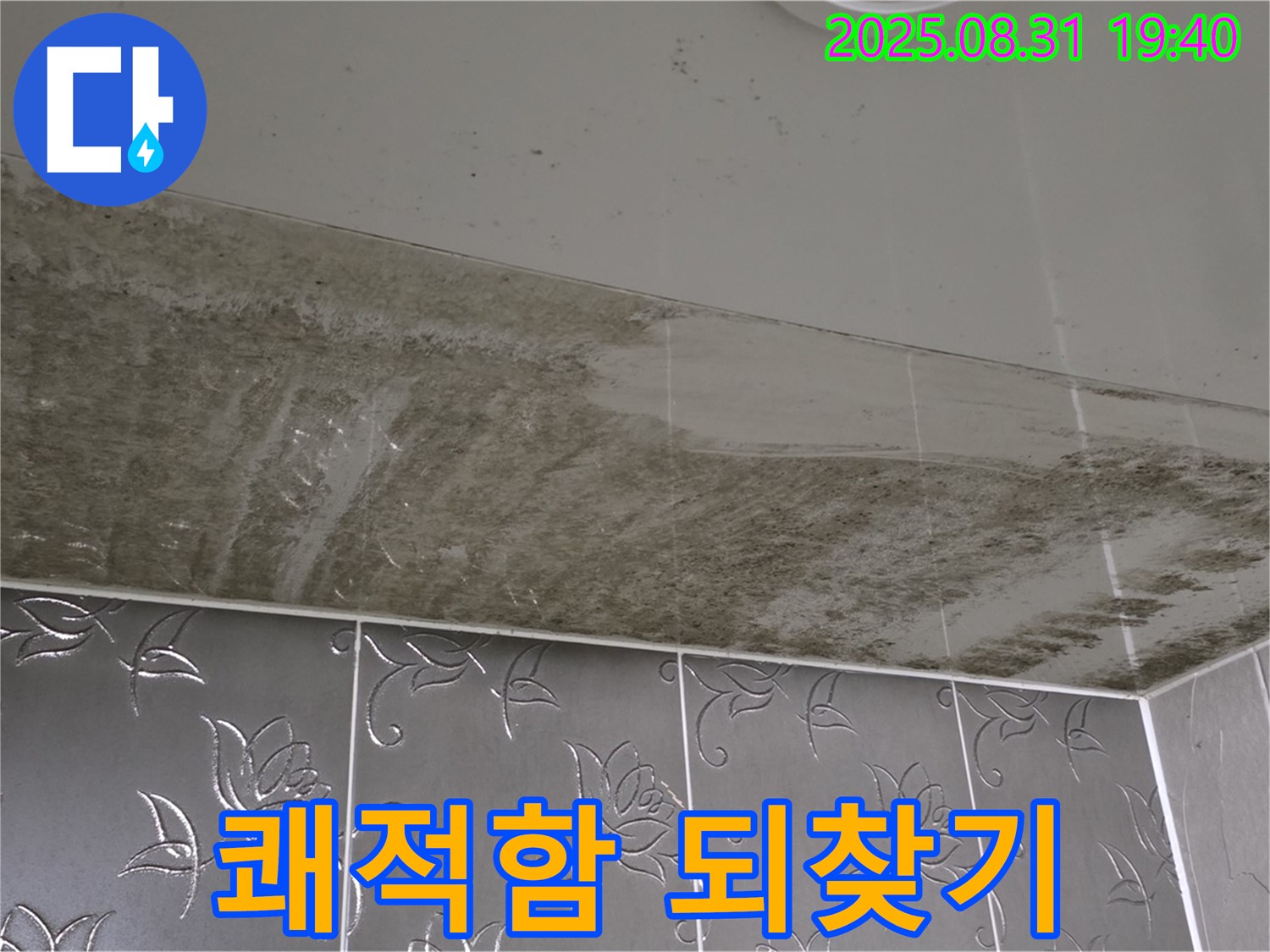 분당구 산운로 - 곰팡이 핀 욕실 - 누수 잡고 쾌적함 되찾기