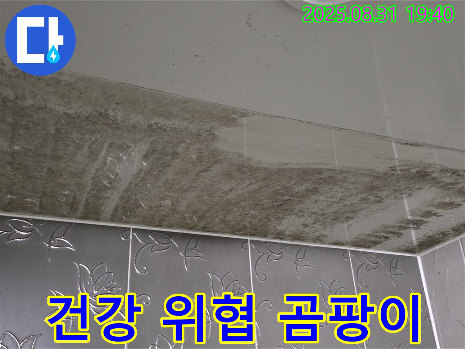 분당구 산운로 - 곰팡이 핀 욕실 천장, 건강 위협