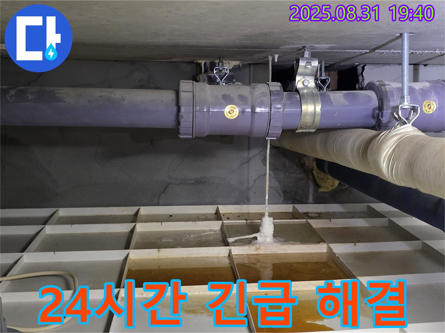 분당구 산운로 누수 - 24시간 긴급 누수 해결 서비스 제공 중