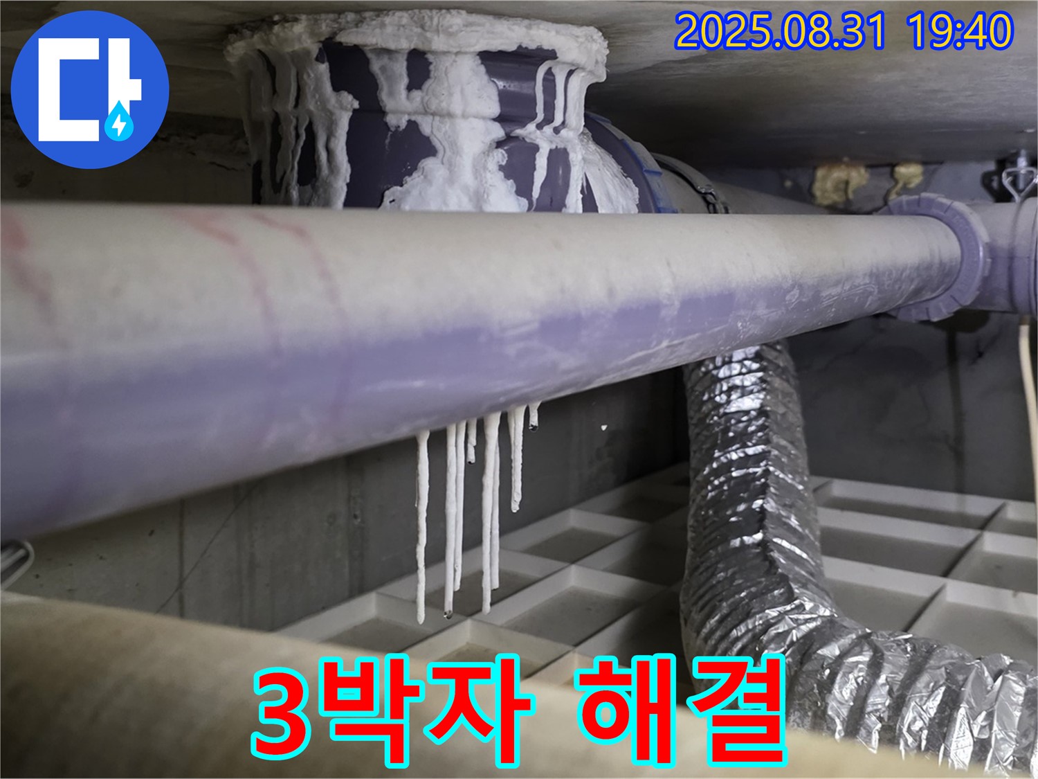 분당구 산운로 누수 - 석회수, 곰팡이, 악취 3박자 완벽 해결 - 쾌적한 공간으로