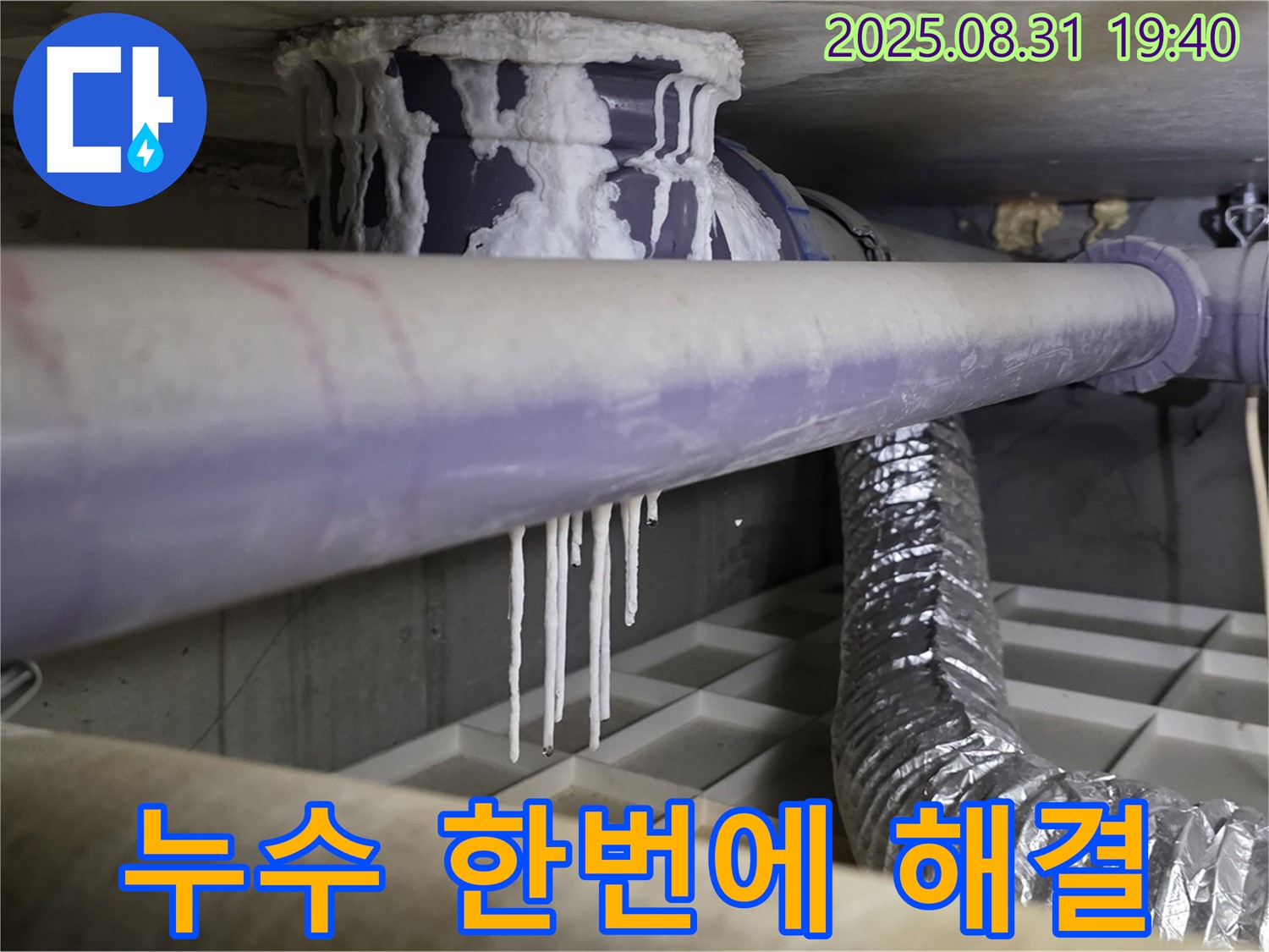 분당구 산운로 누수 - 석회수, 곰팡이, 악취 한 번에 해결 - 원스톱 서비스 제공
