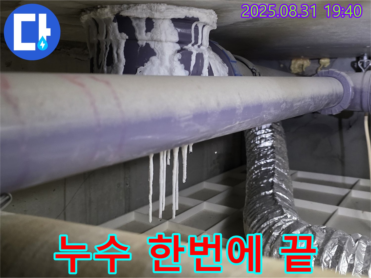 분당구 산운로 누수 - 석회수, 곰팡이, 악취 한 번에 해결 - 원스톱 솔루션