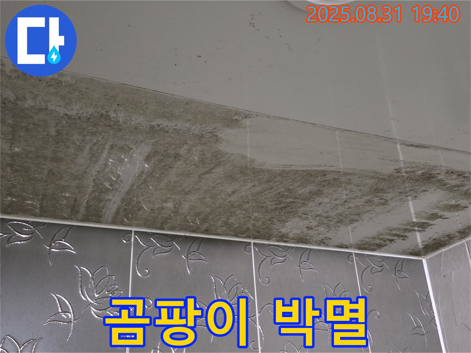 분당구 산운로 - 누수 잡고 곰팡이 박멸 - 욕실 리모델링