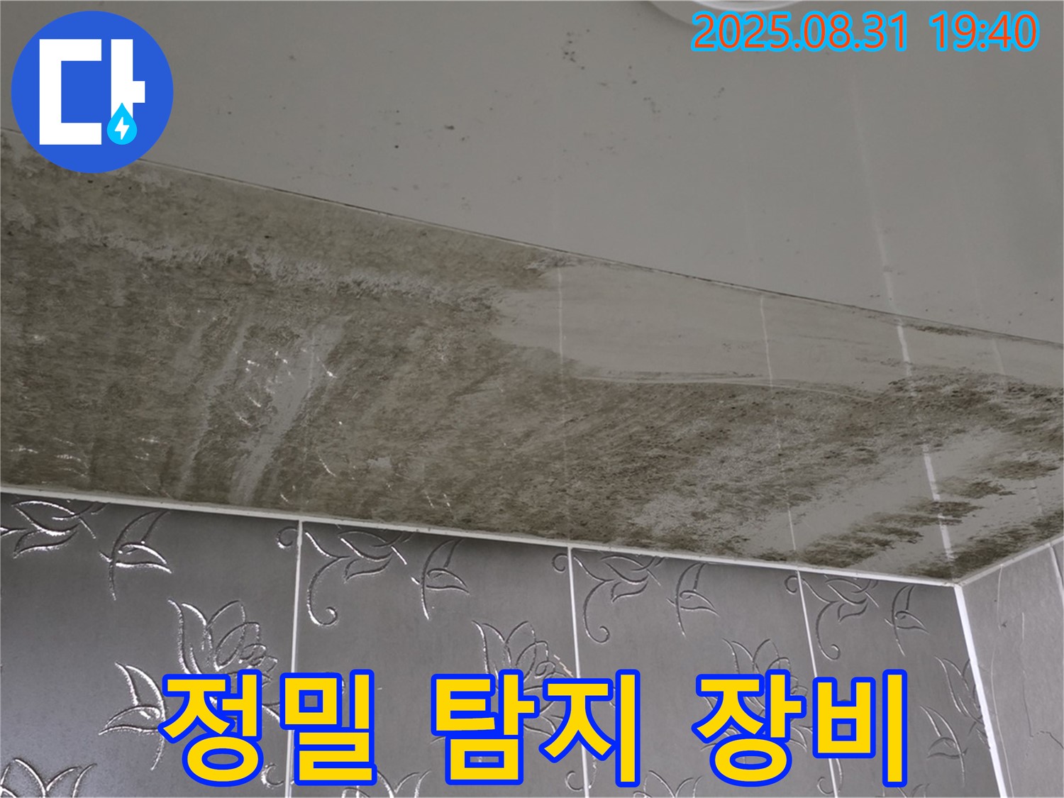 분당구 산운로 누수 - 정밀 탐지 장비로 정확한 누수 위치 파악