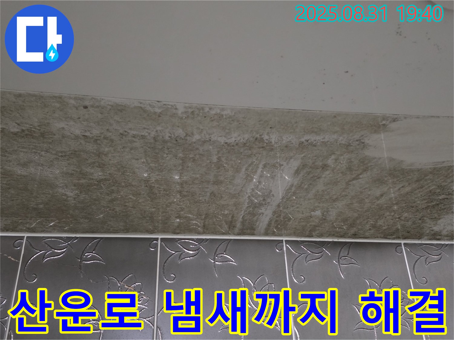 분당구 산운로 욕실 곰팡이 - 곰팡이 제거 곰팡이 냄새까지 한 번에 해결