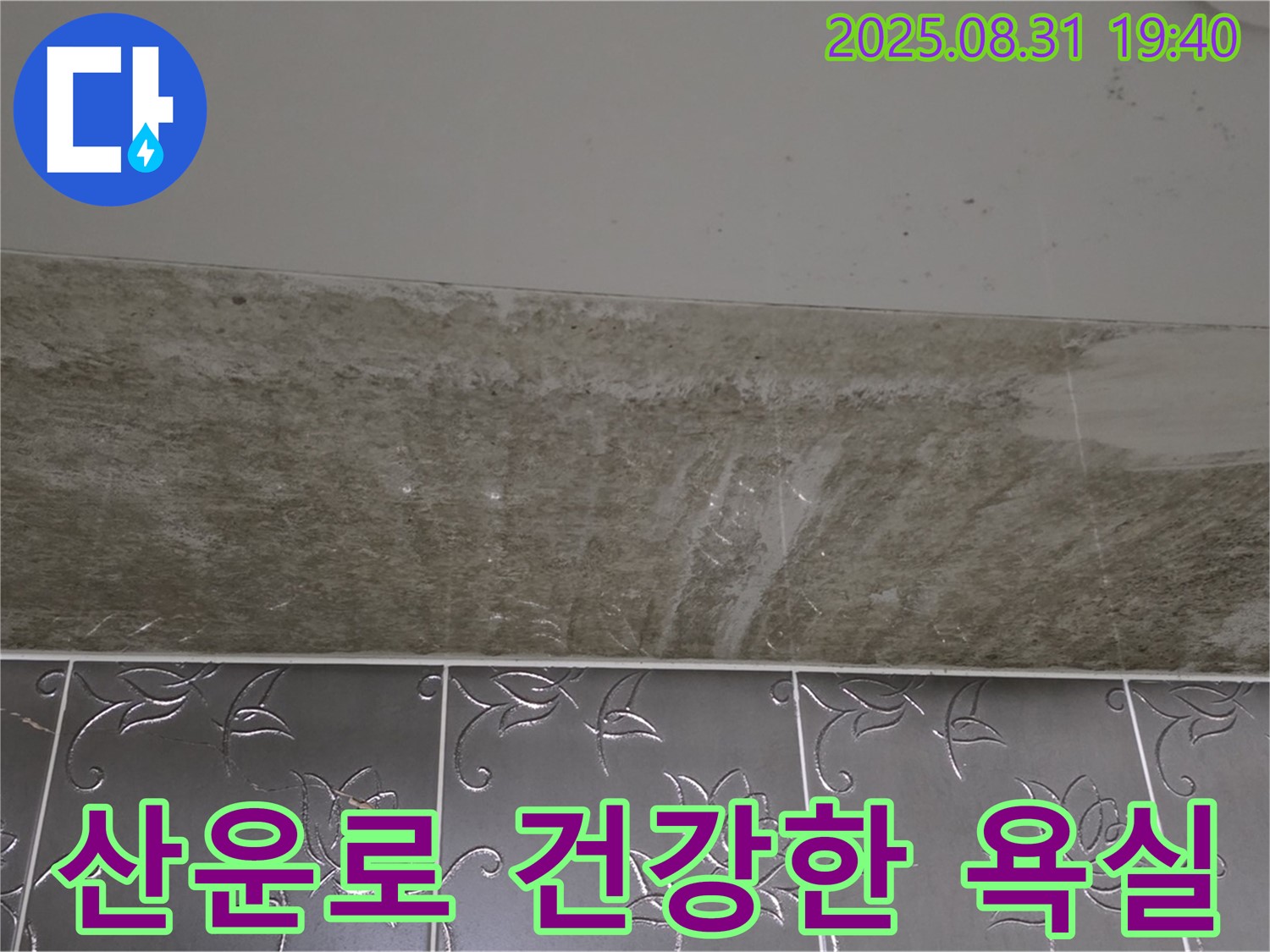 분당구 산운로 욕실 곰팡이 - 곰팡이 제거 쾌적한 욕실에서 건강하게