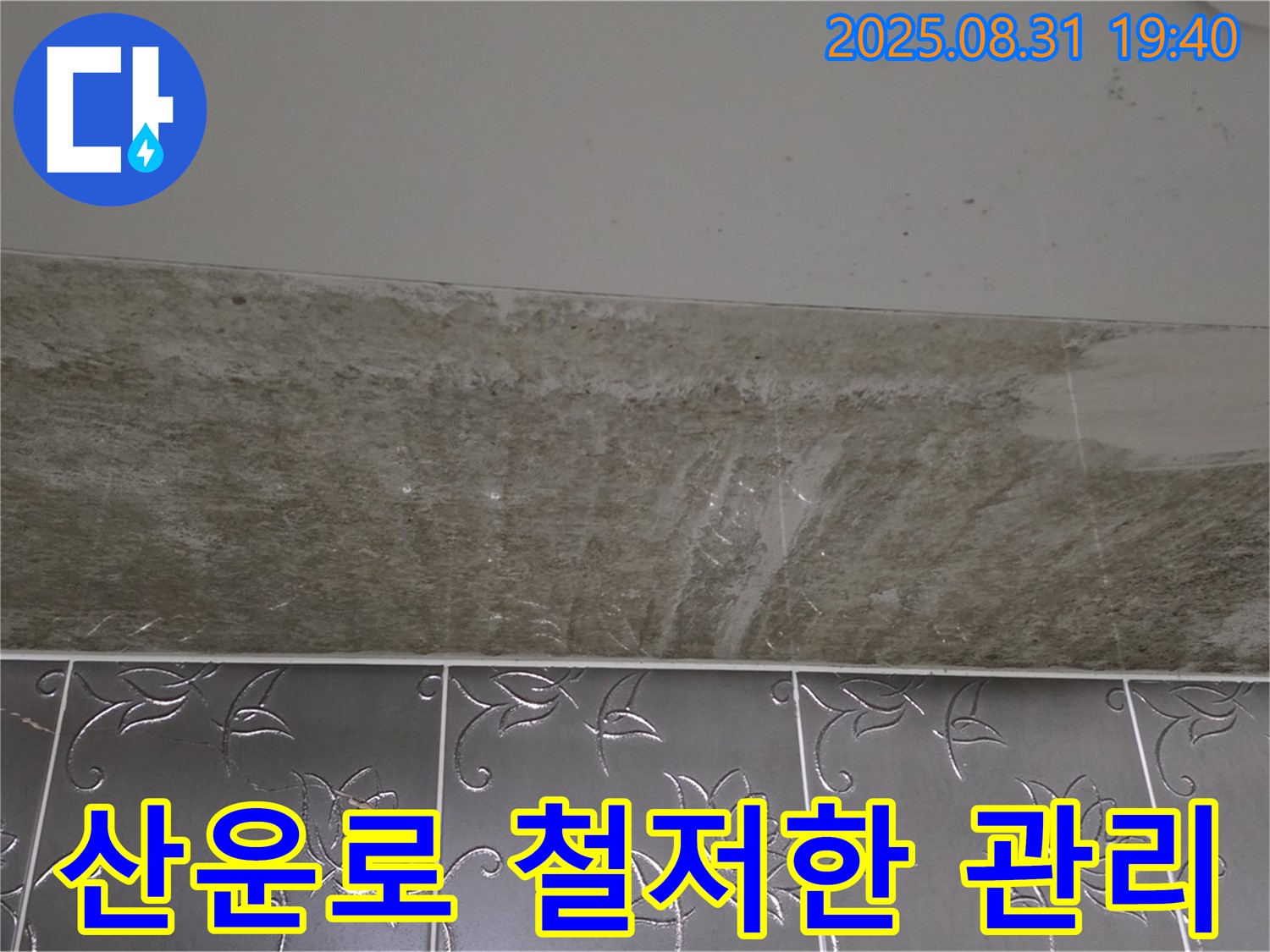 분당구 산운로 욕실 곰팡이 - 꼼꼼한 시공과 철저한 사후관리!