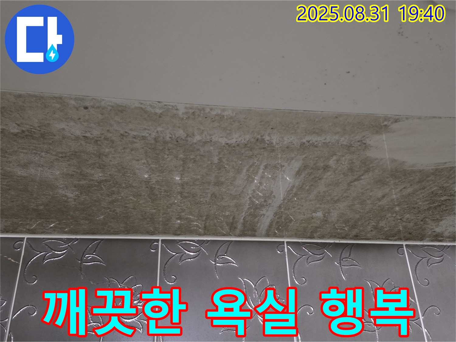 분당구 산운로 욕실 - 곰팡이 완벽 제거 깨끗한 욕실 행복 시작