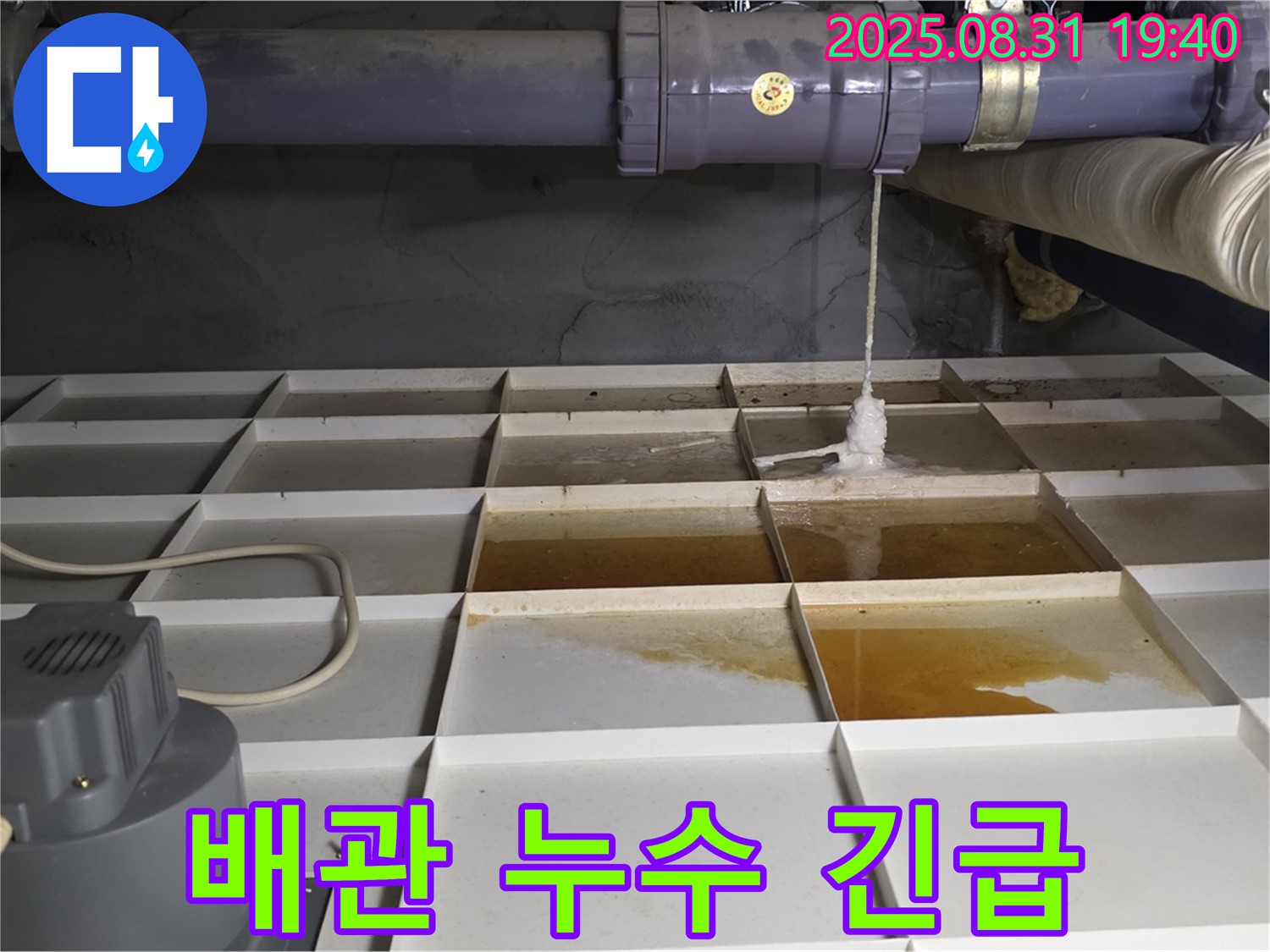 분당구 산운마을 건물 누수 - 배관 누수, 긴급 상황