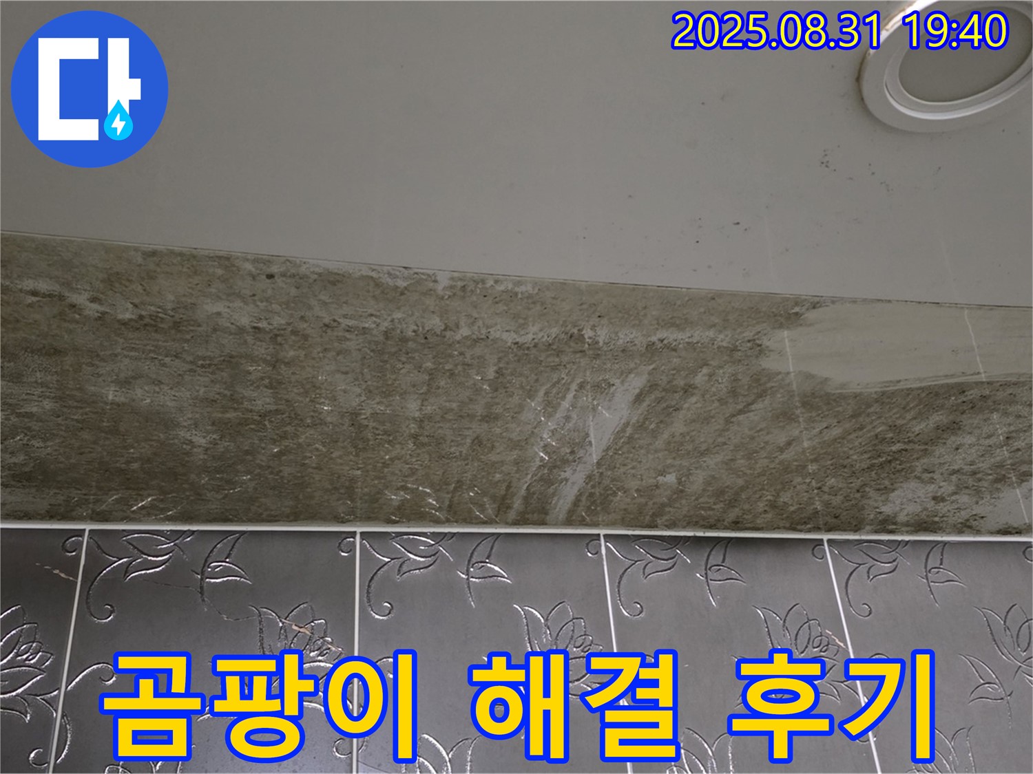 분당구 운중동 곰팡이 슬어버린 욕실 천장 누수 - 완벽하게 해결된 생생한 후기!