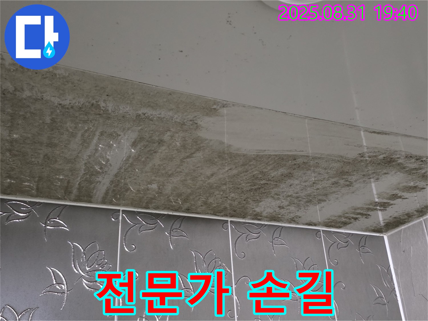 분당구 운중동 - 곰팡이 욕실 - 전문가의 손길로 깨끗하게
