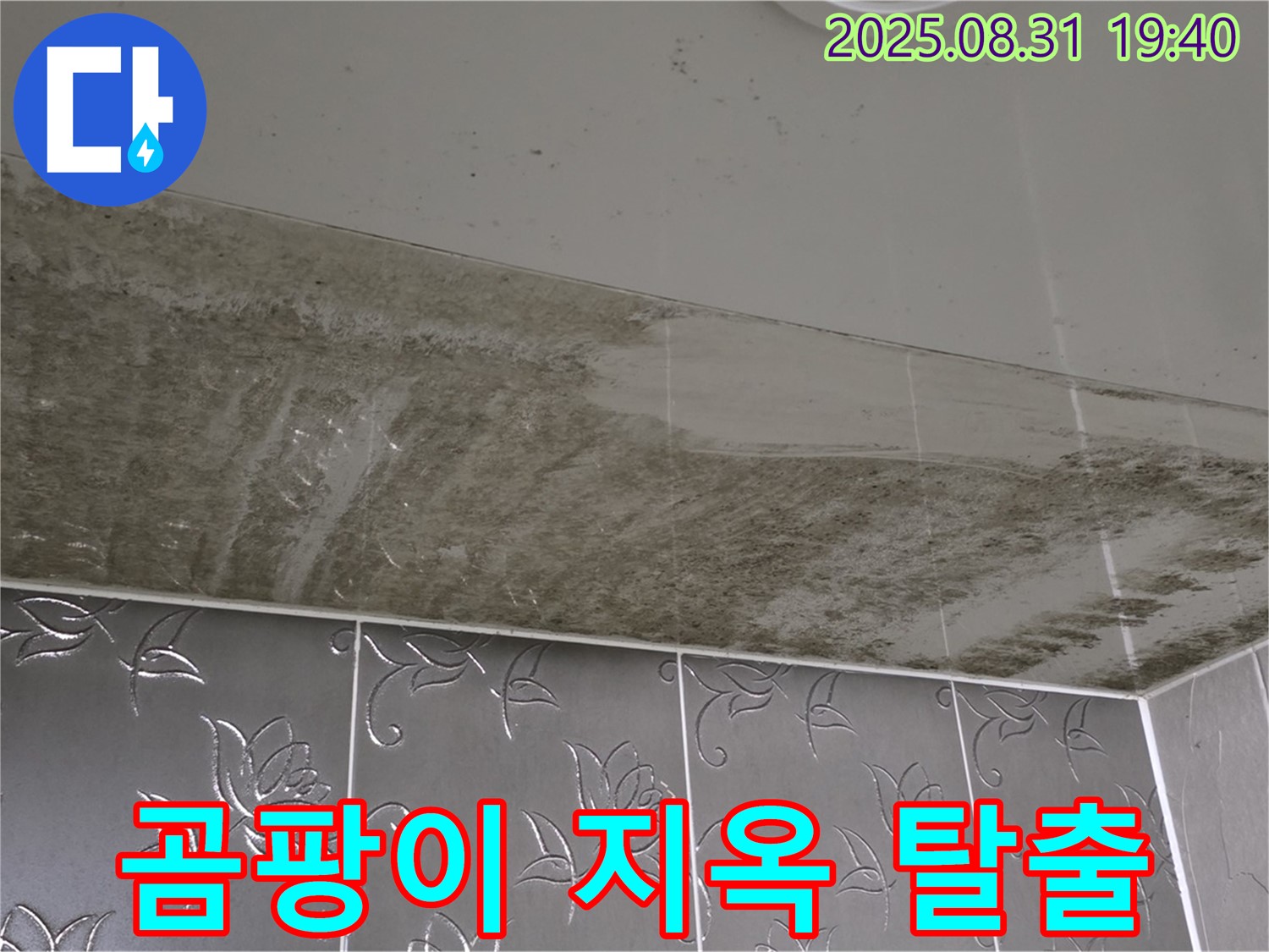 분당구 운중동 - 곰팡이 지옥 탈출 - 깨끗한 욕실