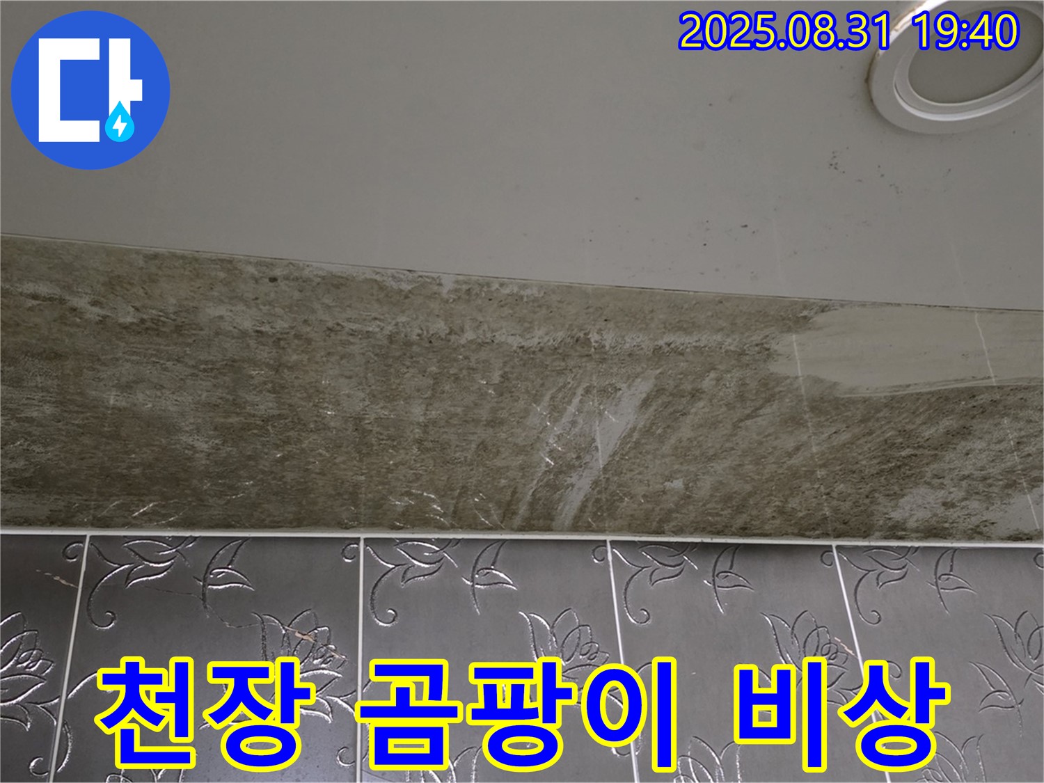 분당구 운중동 욕실 천장 누수 - 곰팡이 비상 상황, 긴급 해결!