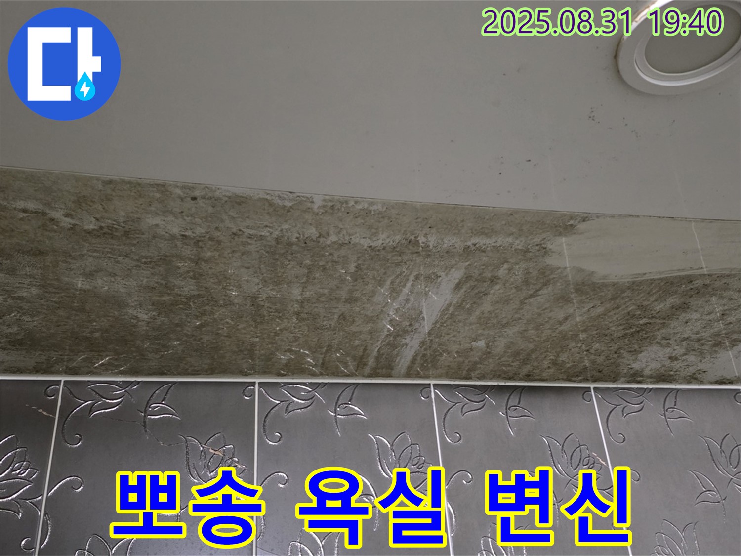 분당구 운중동 욕실 천장 누수 - 곰팡이 완벽 제거하고 뽀송뽀송한 욕실로 변신!