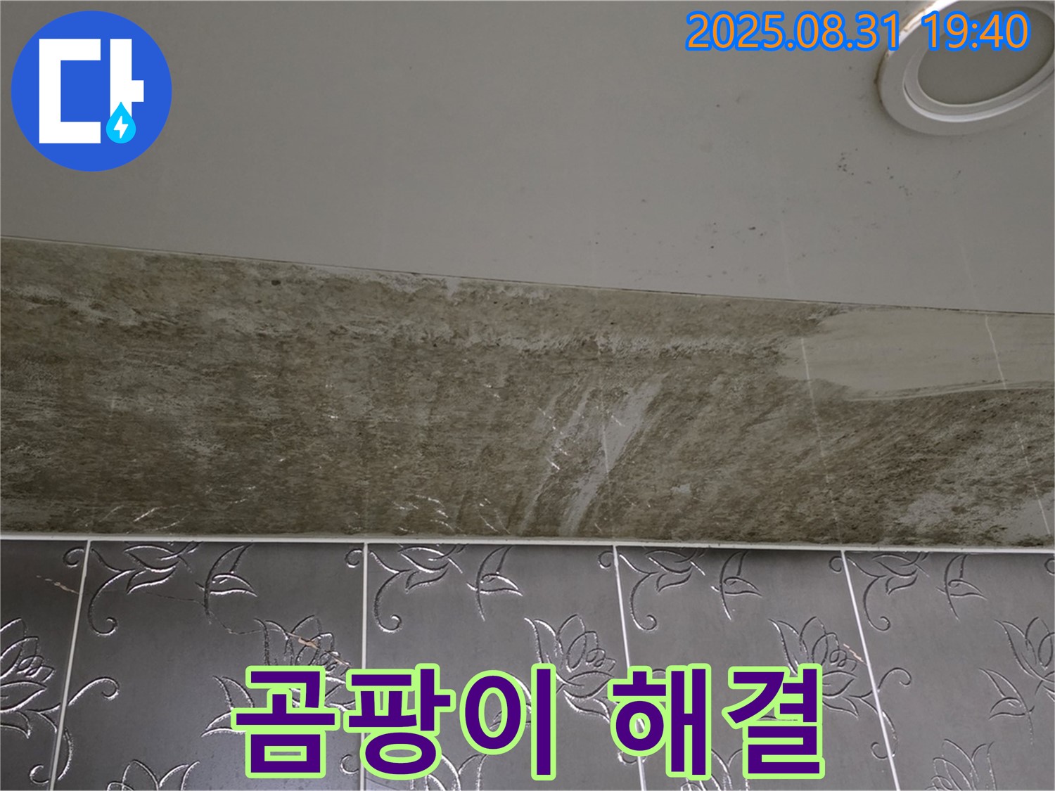 분당구 율동 욕실 천장 누수 - 곰팡이 뒤덮인 욕실, 천장 누수 완벽 해결!