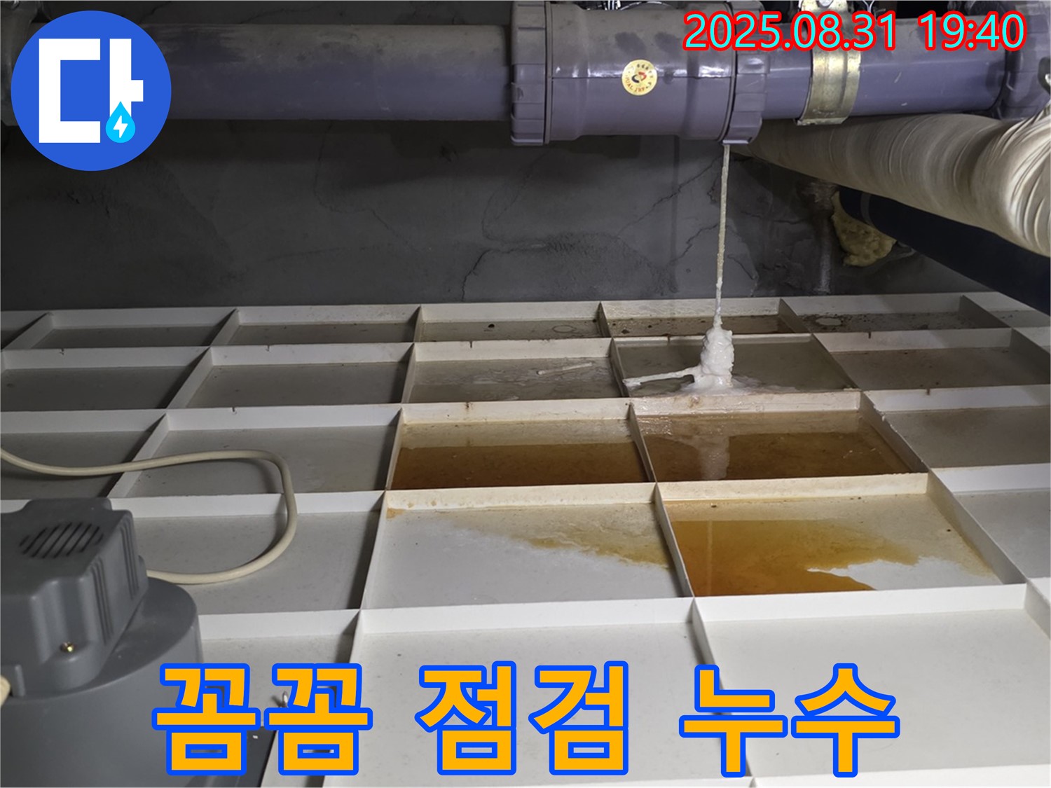분당구 정자동 건물 누수 - 꼼꼼 점검으로 배관 누수 해결
