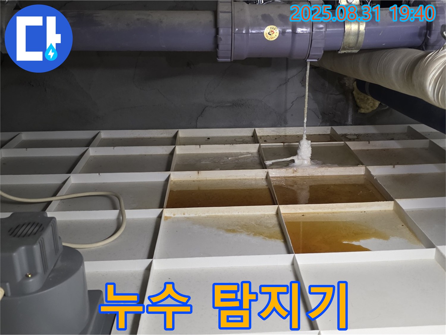 분당구 정자동 건물 누수 - 천장 누수, 배관 문제? 누수 탐지기로 확인