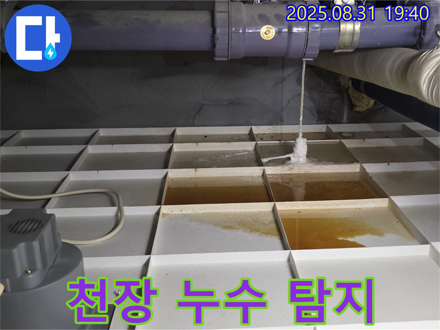 분당구 정자동 건물 누수 - 천장 누수, 탐지기로 분석