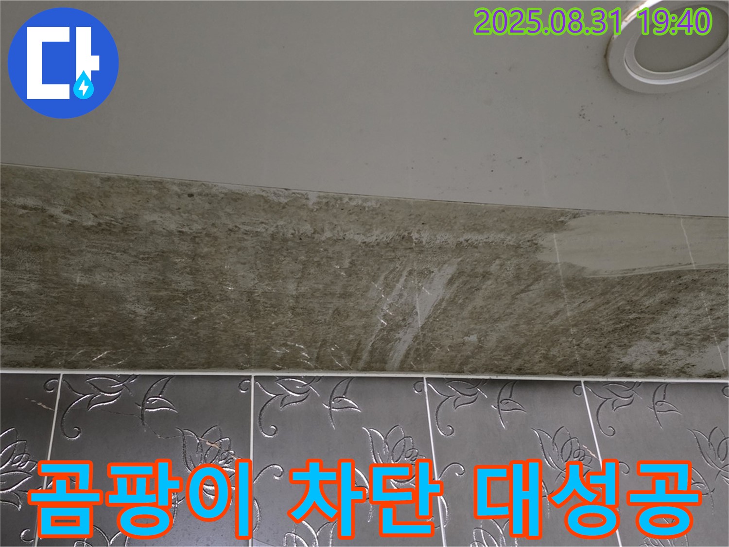 분당구 정자동 곰팡이 소굴 된 욕실 천장 누수 - 완벽하게 차단 대성공!