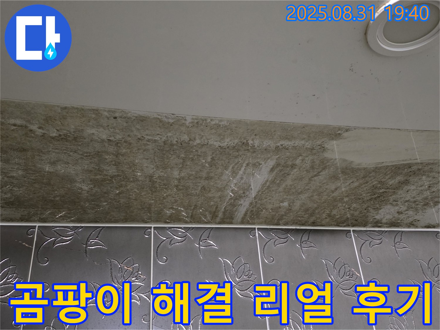분당구 정자동 곰팡이 슬어버린 욕실 천장 누수 - 완벽하게 해결된 리얼 후기!