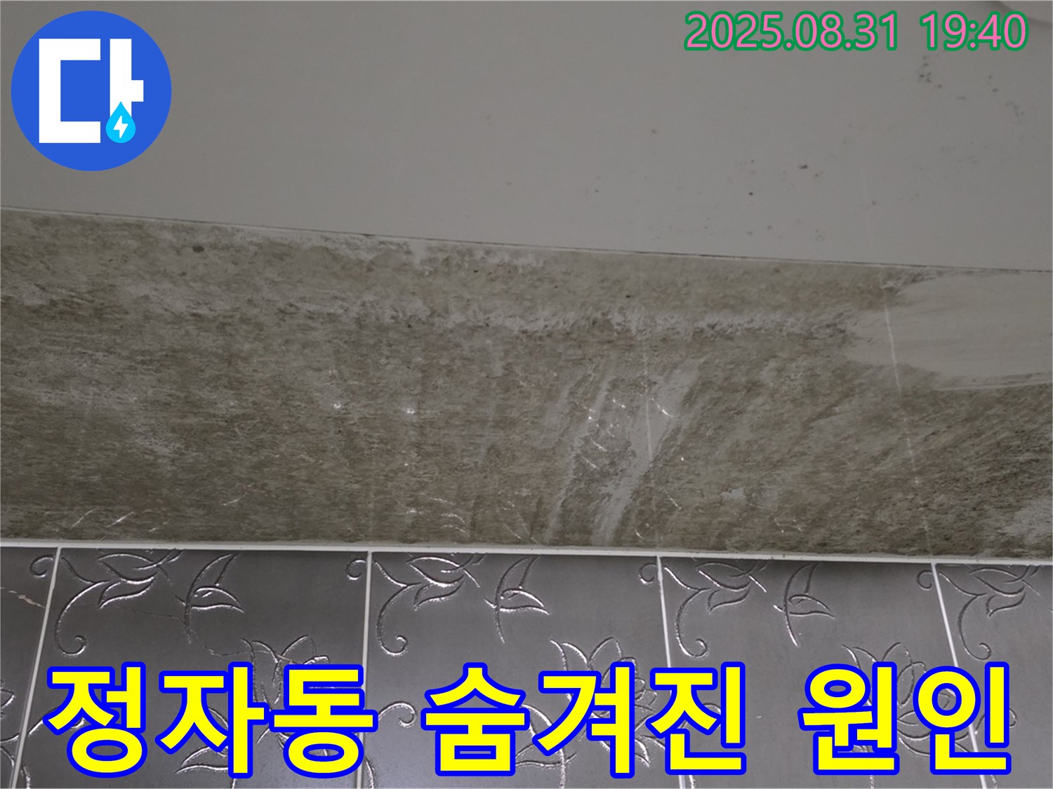 분당구 정자동 욕실 곰팡이 - 숨겨진 원인까지 꼼꼼하게 해결!