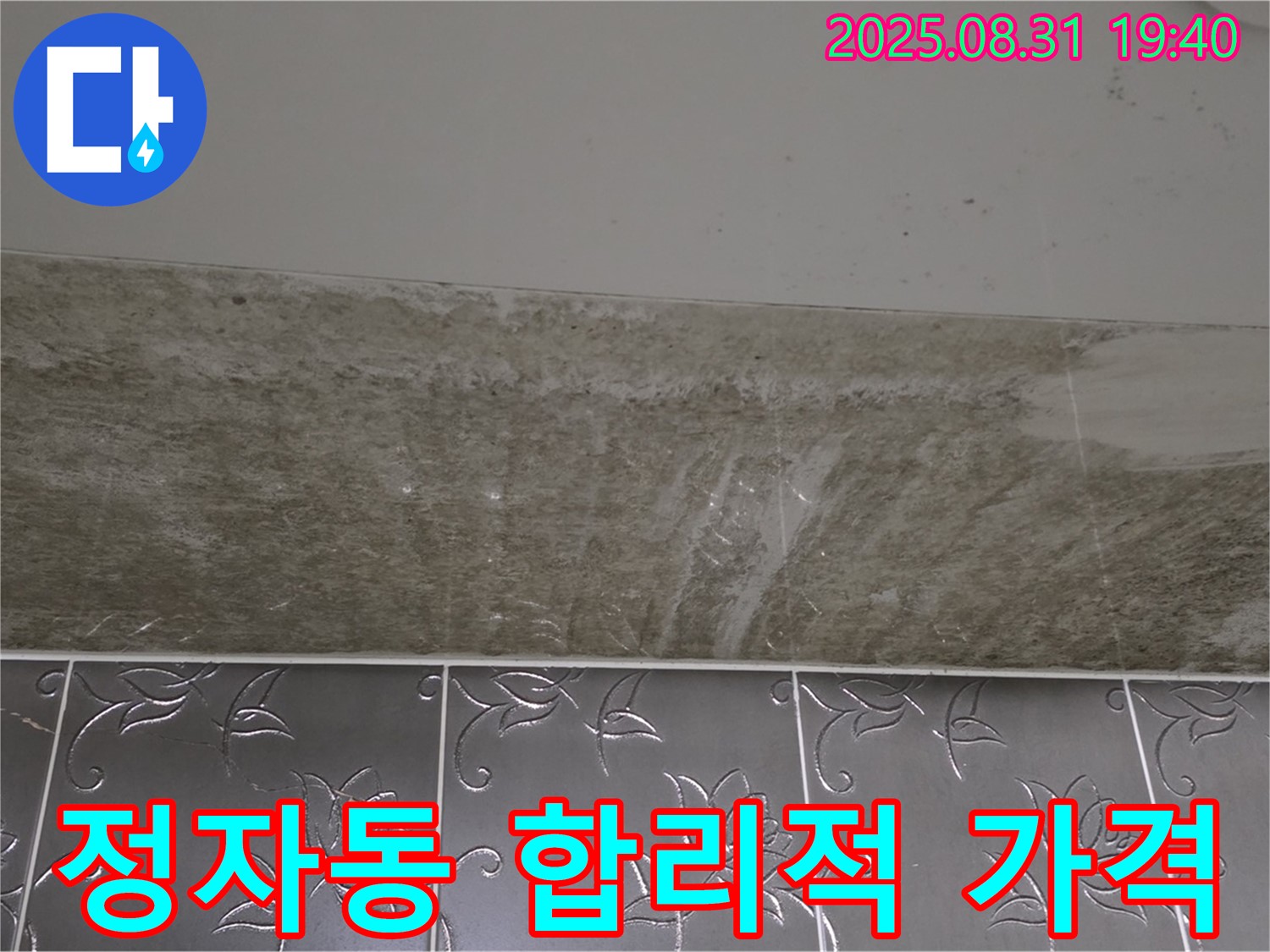 분당구 정자동 욕실 곰팡이 - 합리적인 가격으로 해결!