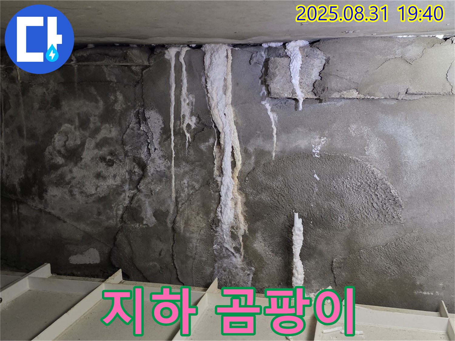 산운동 주택 지하 콘크리트 누수 - 누수로 인한 곰팡이 발생, 건강 위협