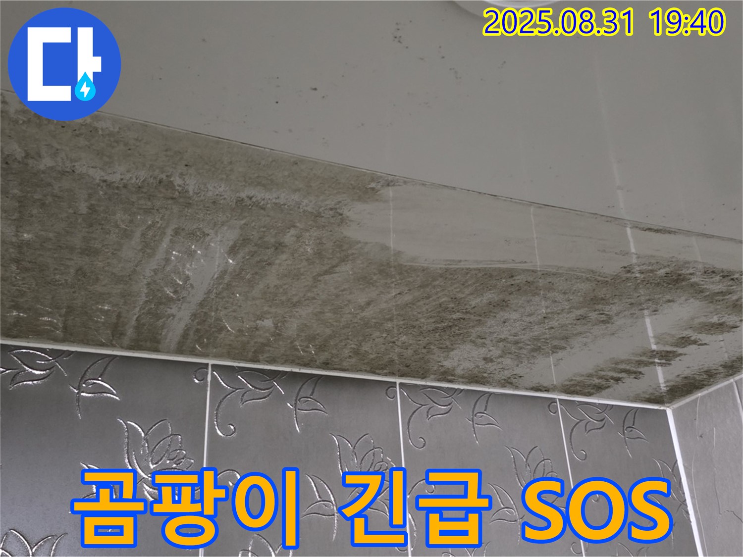 산운로 - 곰팡이 가득한 욕실 천장, 긴급 누수 해결