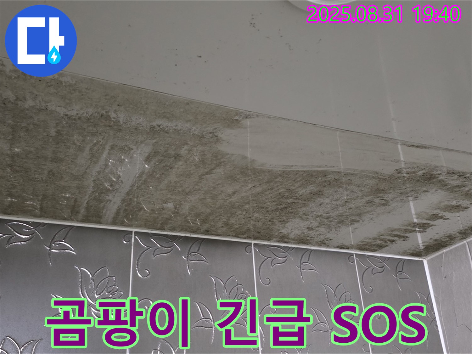 산운로 - 곰팡이 가득한 욕실 천장 - 긴급 누수 해결 필요