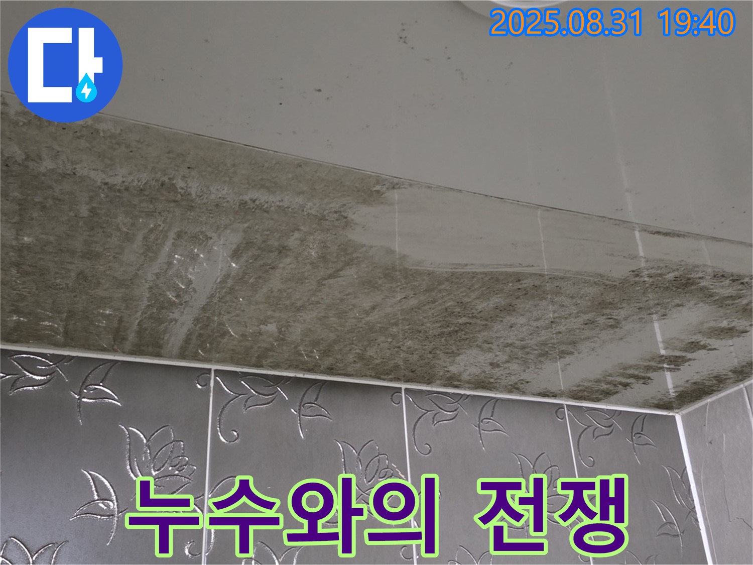 산운로 - 누수와의 전쟁 - 곰팡이 욕실 천장 구출
