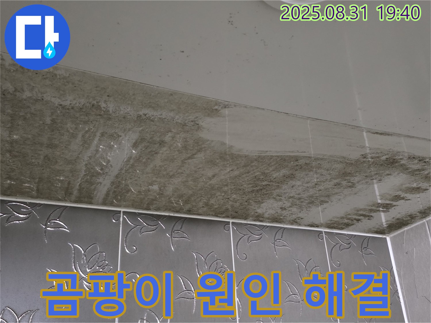 산운로 욕실 천장 곰팡이 - 누수 원인 해결 과정