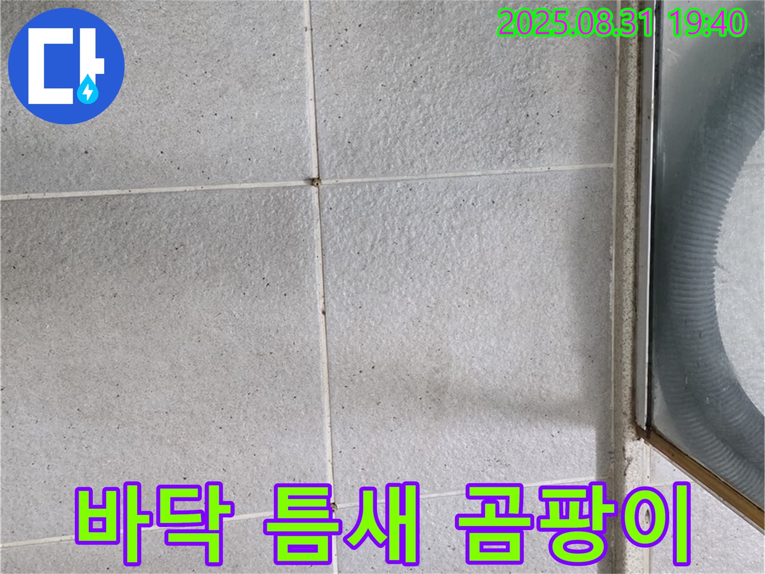 샤워부스 바닥 틈새 곰팡이 - 누수 해결과 곰팡이 제거를 한 번에!
