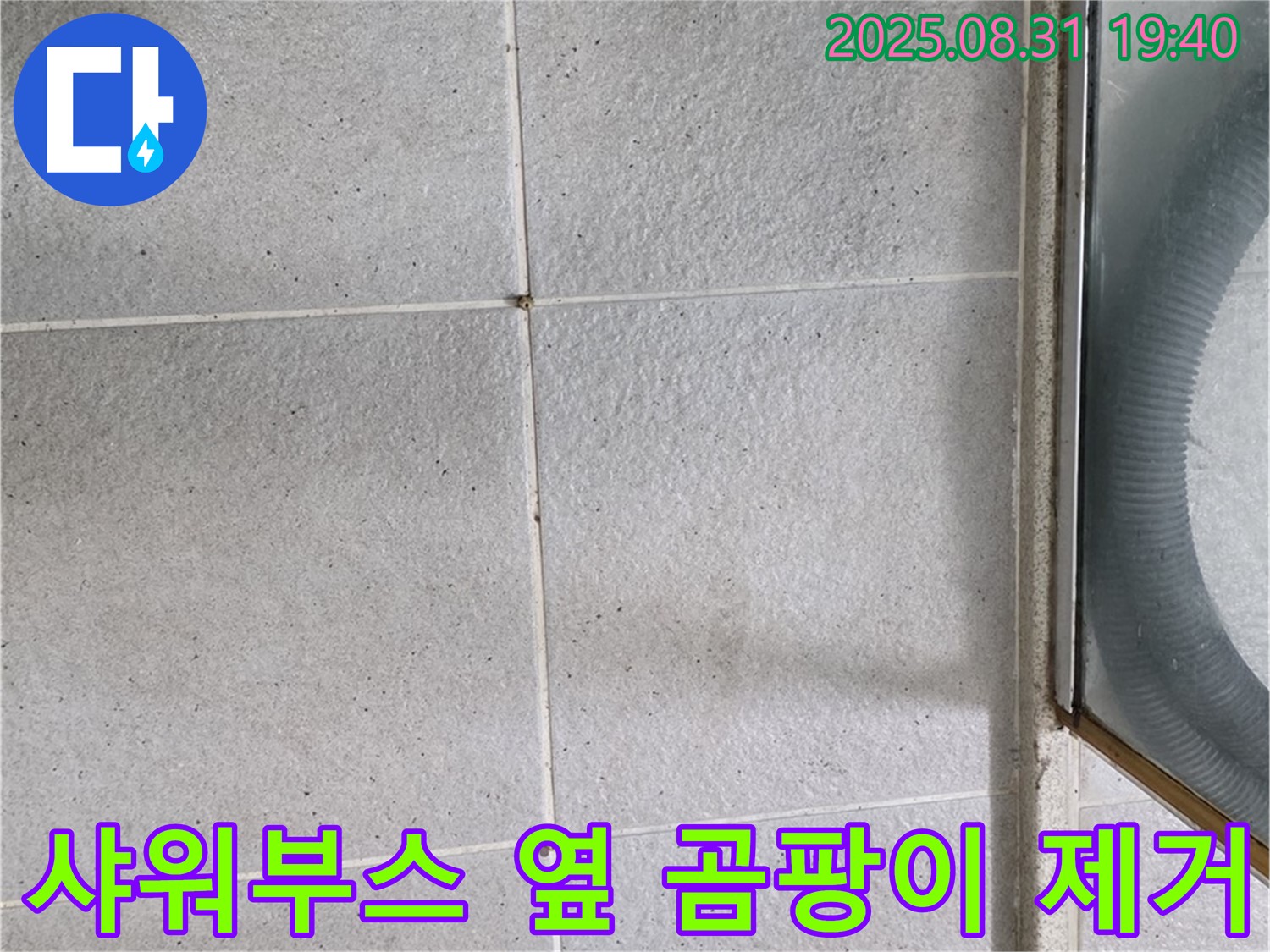샤워부스 옆 곰팡이 제거 - 누수와 곰팡이, 이제 걱정 끝!