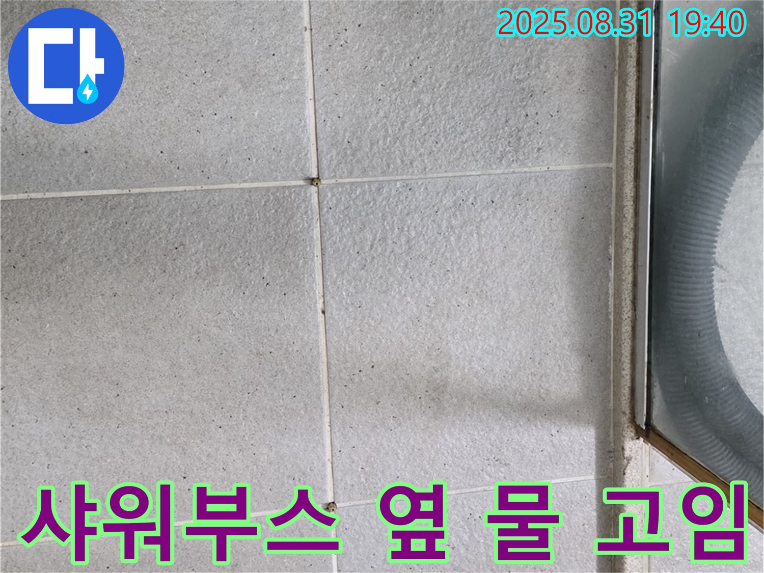 샤워부스 옆 물 고임 - 타일 누수 의심, 전문가에게 문의하세요!