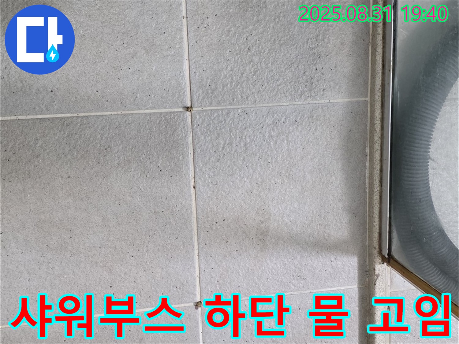 샤워부스 하단 물 고임 - 타일 누수 의심, 전문가에게 문의하세요!